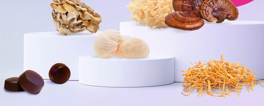 What are functional mushrooms? A beginner's guide