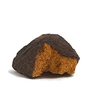 Chaga