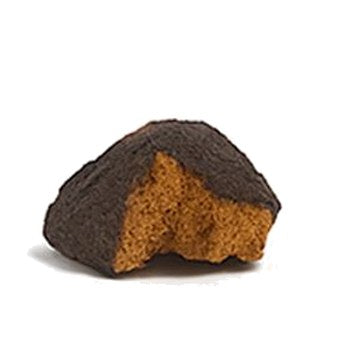 Chaga