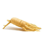 Panax Ginseng