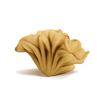 Maitake