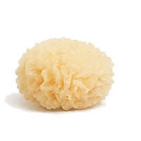 Tremella